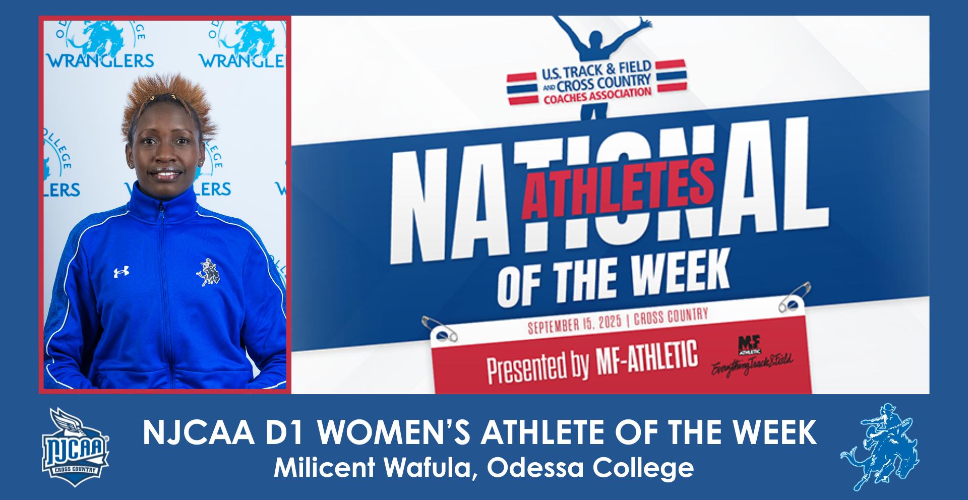 Milicent Wafula Named USTFCCCA NJCAA D1 Women's Athlete of the Week