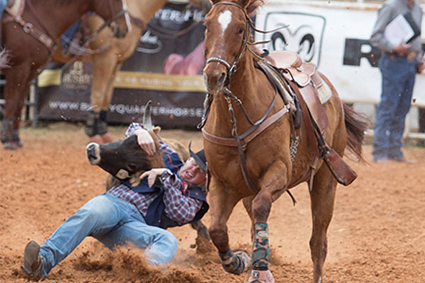 WJCAC Rodeo All-Conference Team